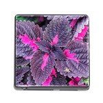 Beefsteak Plant Perilla Frutescens Memory Card Reader (Square 5 Slot) Front