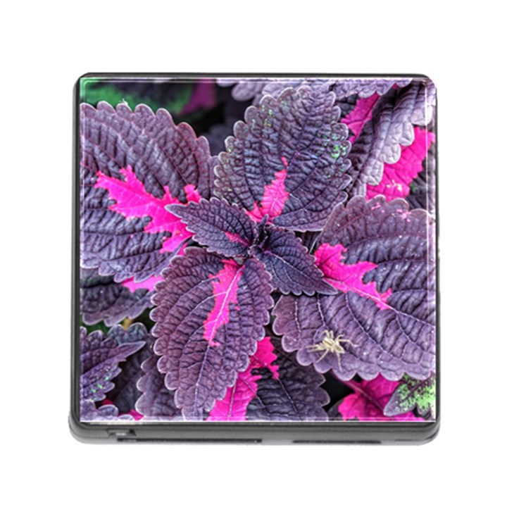 Beefsteak Plant Perilla Frutescens Memory Card Reader (Square 5 Slot)