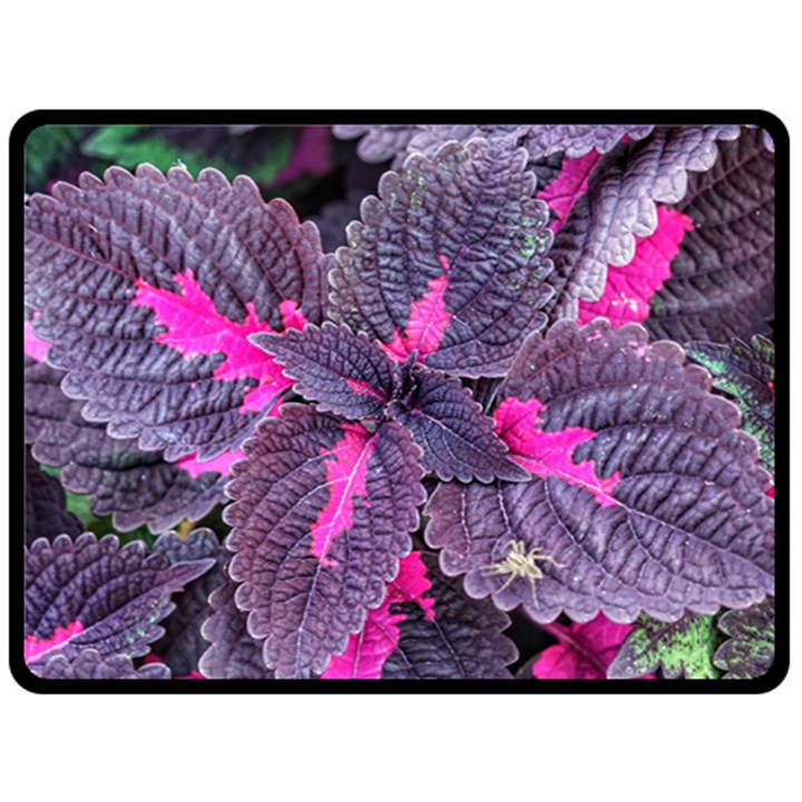 Beefsteak Plant Perilla Frutescens Double Sided Fleece Blanket (Large) 