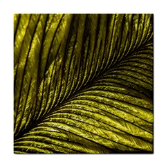 Feather Macro Bird Plumage Nature Tile Coasters by Sapixe