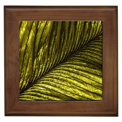 Feather Macro Bird Plumage Nature Framed Tiles by Sapixe