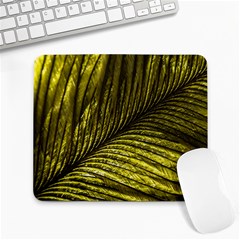 Feather Macro Bird Plumage Nature Large Mousepads by Sapixe