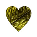 Feather Macro Bird Plumage Nature Heart Magnet Front