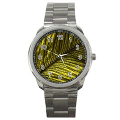 Feather Macro Bird Plumage Nature Sport Metal Watch