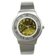 Feather Macro Bird Plumage Nature Stainless Steel Watch