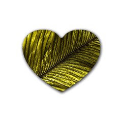 Feather Macro Bird Plumage Nature Heart Coaster (4 Pack) 