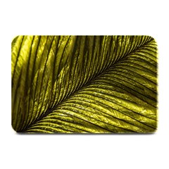 Feather Macro Bird Plumage Nature Plate Mats by Sapixe