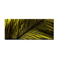 Feather Macro Bird Plumage Nature Hand Towel