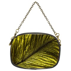 Feather Macro Bird Plumage Nature Chain Purse (two Sides)