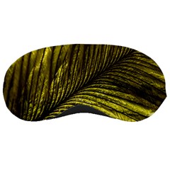 Feather Macro Bird Plumage Nature Sleeping Masks