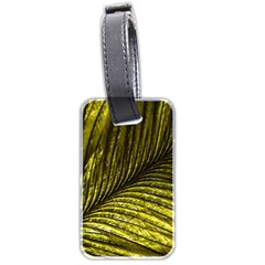 Feather Macro Bird Plumage Nature Luggage Tags (two Sides) by Sapixe