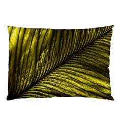 Feather Macro Bird Plumage Nature Pillow Case (two Sides)