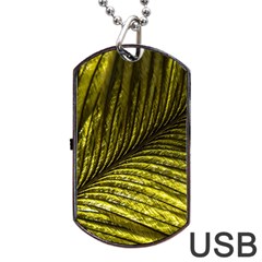 Feather Macro Bird Plumage Nature Dog Tag Usb Flash (two Sides) by Sapixe