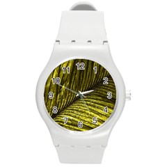 Feather Macro Bird Plumage Nature Round Plastic Sport Watch (m)