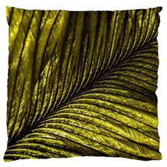 Feather Macro Bird Plumage Nature Large Flano Cushion Case (two Sides) by Sapixe