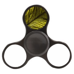 Feather Macro Bird Plumage Nature Finger Spinner