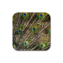 Peacock Feathers Color Plumage Green Rubber Square Coaster (4 Pack)  by Sapixe