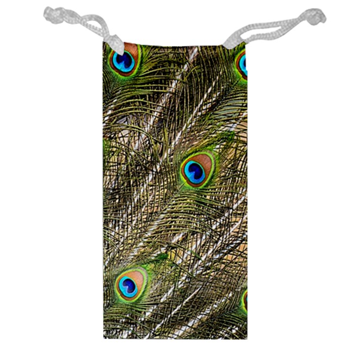 Peacock Feathers Color Plumage Green Jewelry Bag