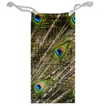 Peacock Feathers Color Plumage Green Jewelry Bag Back