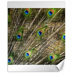 Peacock Feathers Color Plumage Green Canvas 16  X 20  by Sapixe