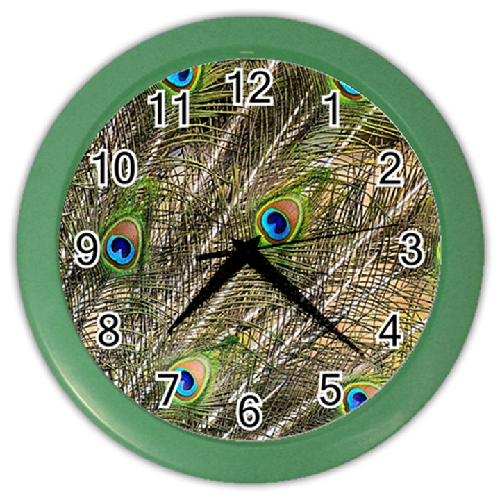 Peacock Feathers Color Plumage Green Color Wall Clock