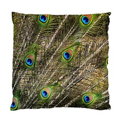 Peacock Feathers Color Plumage Green Standard Cushion Case (one Side) by Sapixe