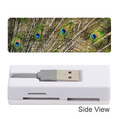 Peacock Feathers Color Plumage Green Memory Card Reader (stick) by Sapixe