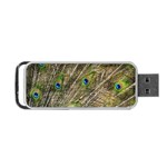 Peacock Feathers Color Plumage Green Portable USB Flash (Two Sides) Front