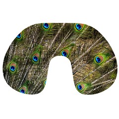 Peacock Feathers Color Plumage Green Travel Neck Pillows by Sapixe