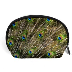 Peacock Feathers Color Plumage Green Accessory Pouch (large) by Sapixe