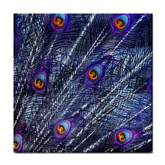 Peacock Feathers Color Plumage Blue Tile Coasters by Sapixe