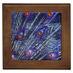 Peacock Feathers Color Plumage Blue Framed Tiles by Sapixe