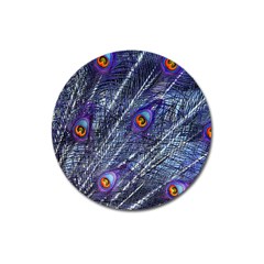 Peacock Feathers Color Plumage Blue Magnet 3  (round) by Sapixe