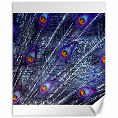 Peacock Feathers Color Plumage Blue Canvas 16  X 20  by Sapixe