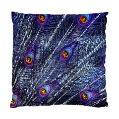 Peacock Feathers Color Plumage Blue Standard Cushion Case (one Side) by Sapixe