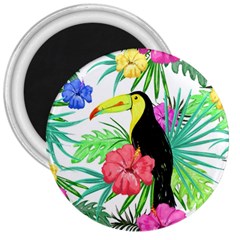 Leaves Tropical Nature Green Plant 3  Magnets by Sapixe