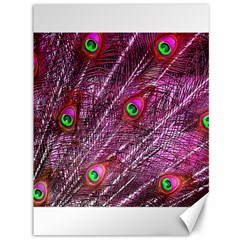 Peacock Feathers Color Plumage Canvas 36  X 48  by Sapixe