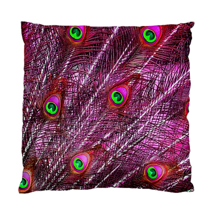 Peacock Feathers Color Plumage Standard Cushion Case (Two Sides)