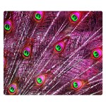 Peacock Feathers Color Plumage Double Sided Flano Blanket (Small)  50 x40  Blanket Back