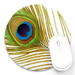 Peacock Feather Plumage Colorful Round Mousepads