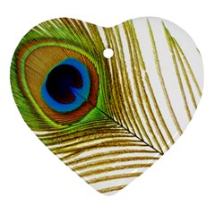 Peacock Feather Plumage Colorful Ornament (heart) by Sapixe