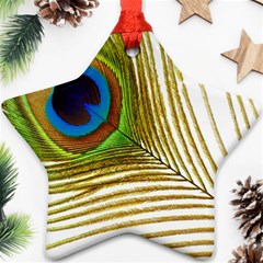 Peacock Feather Plumage Colorful Ornament (star)