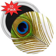 Peacock Feather Plumage Colorful 3  Magnets (10 Pack)  by Sapixe