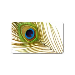 Peacock Feather Plumage Colorful Magnet (name Card) by Sapixe