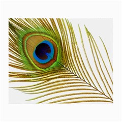 Peacock Feather Plumage Colorful Small Glasses Cloth