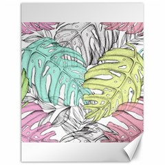 Leaves Tropical Nature Plant Canvas 12  X 16  by Sapixe