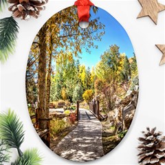 Landscape # 2 The Path Ornament (oval) by ArtworkByPatrick