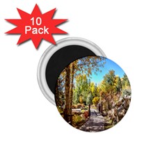 Landscape # 2 The Path 1 75  Magnets (10 Pack)  by ArtworkByPatrick