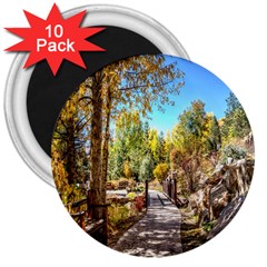 Landscape # 2 The Path 3  Magnets (10 Pack)  by ArtworkByPatrick