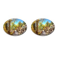 Landscape # 2 The Path Cufflinks (oval)